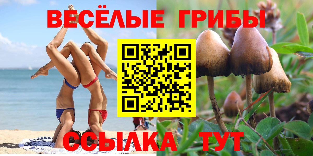 Хасавюрт  Галлюциногенные грибы Magic Shrooms  Вход с VPN 