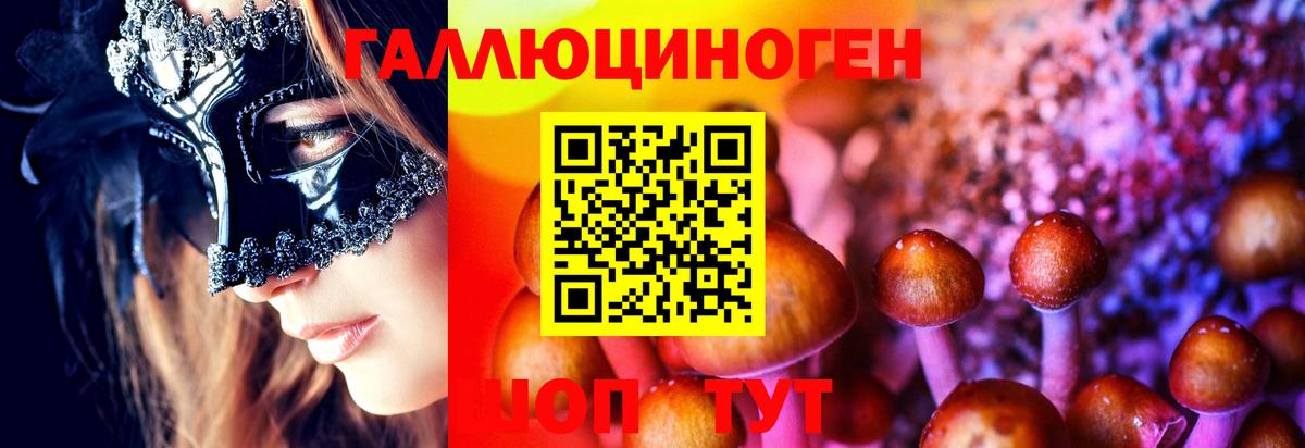 Галлюциногенные грибы Psilocybine cubensis Хасавюрт